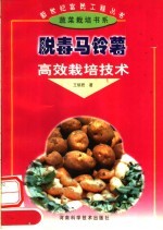 脱毒马铃薯高效栽培技术