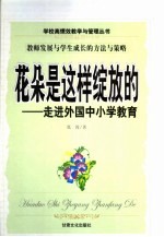 花朵是这样绽放的 走进外国中小学教育