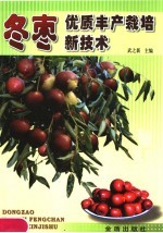 冬枣优质丰产栽培新技术