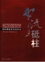 中流砥柱 新时期建设者风采录
