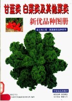 甘蓝类 白菜类及其他菜类新优品种图册