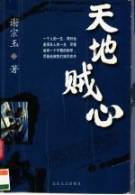 天地贼心 长篇小说