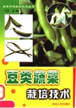 豆类蔬菜栽培技术