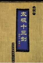 精编太极十三剑