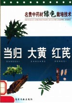 名贵中药材绿色栽培技术 当归 大黄 红芪