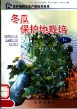 冬瓜保护地栽培