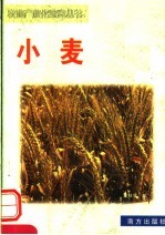 小麦