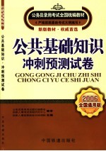 公共基础知识冲刺模拟试卷