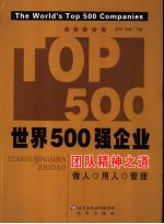 团队精神之道 做人·用人·管理