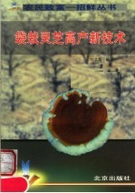 袋栽灵芝高产新技术