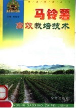 马铃薯高效栽培技术