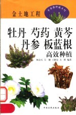 牡丹 芍药 黄芩 丹参 板蓝根高效种植