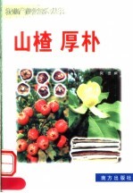 山楂 厚朴