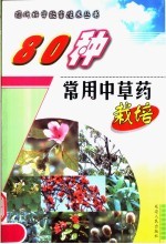 80种常用中草药栽培