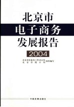 北京市电子商务发展报告 2004