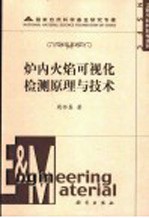 炉内火焰可视化检测原理与技术