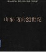 山东:迈向21世纪