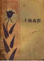 十四夜间