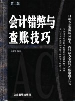 会计错弊与查账技巧 第2版
