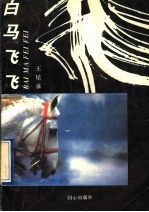白马飞飞