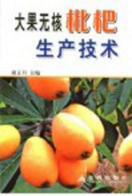 大果无核枇杷生产技术