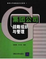 集团公司战略组织与管理