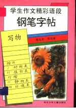 学生作文精彩语段铅笔字帖 写物
