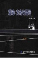 混沌:文化与建筑