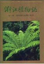 浙江植物志 第1卷 蕨类植物-裸子植物