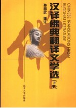 汉译佛典翻译文学选 下