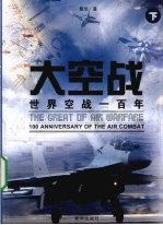大空战 世界空战100年 下