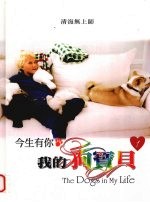 今生有你我的狗宝贝
