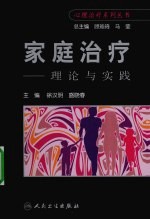 家庭治疗 理论与技术