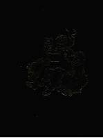 世界儿童传记文学全集 6 马克吐温 哥伦布