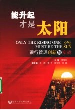 能升起才是太阳 银行管理创新与实战