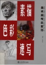 美术高考总复习 素描、色彩、速写