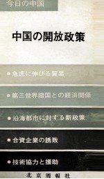 今の中国　中国の開放政策