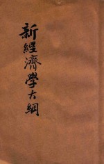 新经济学大纲