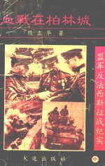 盟军反法西斯征战技术 中 血战字柏林城