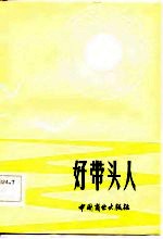 好带头人