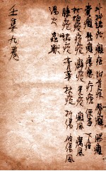 寿世保元 壬集9卷