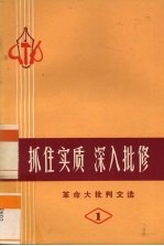 抓住实质,深入批修