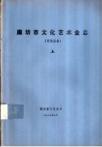 廊坊市文化艺术全志 文安县卷 上