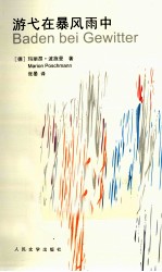 游弋在暴风雨中
