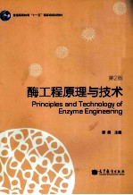 酶工程原理与技术