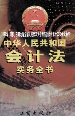 中华人民共和国会计法实务全书 上