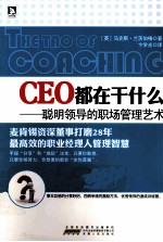 CEO都在干什么 聪明领导的职场管理艺术