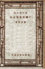 新中学文库 中国美术发达史