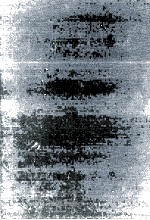 四訂 貿易学通論