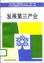 发展第三产业 第2版